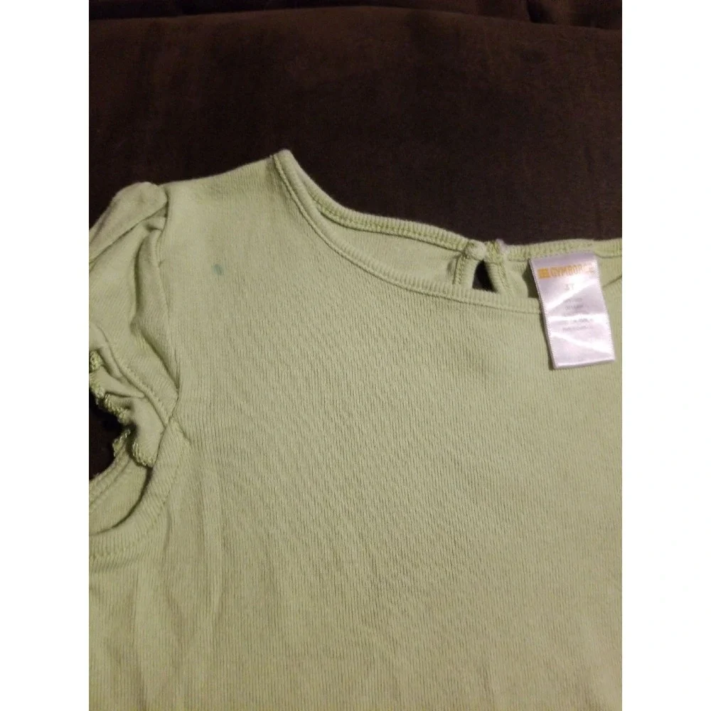 Gymboree fairy garden‎ outfit top size 3t bottoms size 3